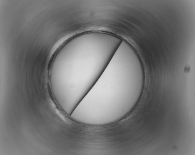 X0000113100894200908280949