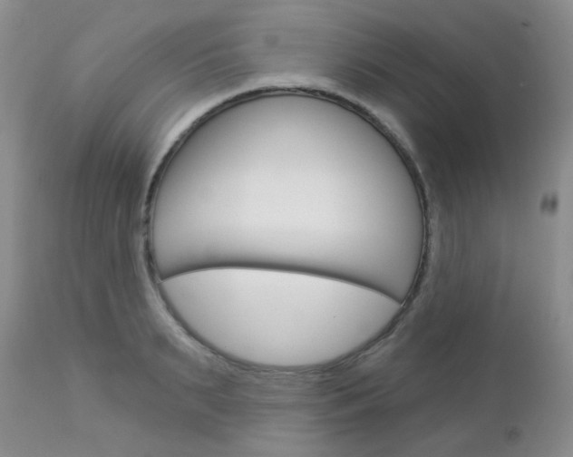 X0000113100895200908280949
