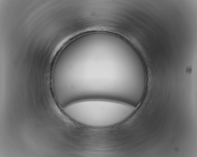 X0000113100896200908280949