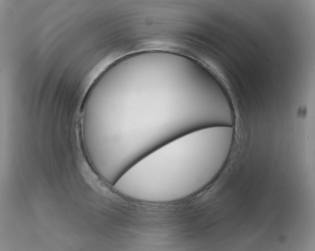 X0000113100899200908280949