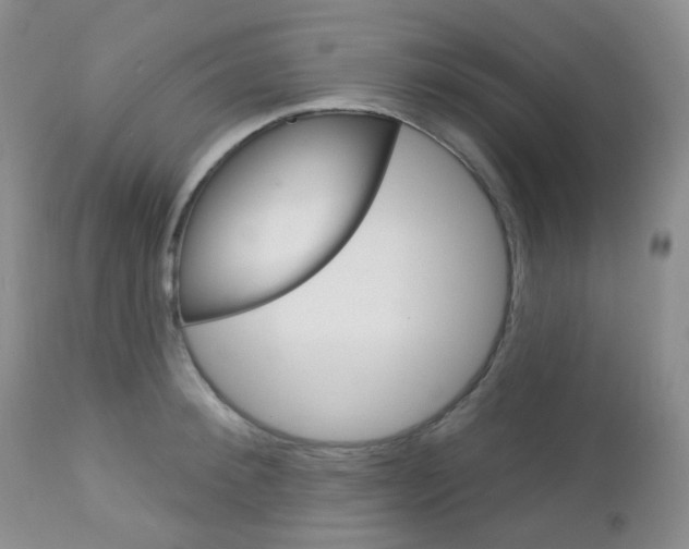 X0000113100900200908280949
