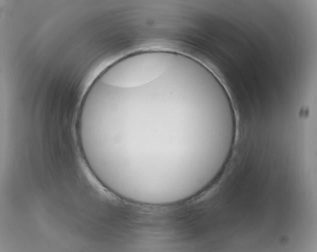 X0000113100901200908280949