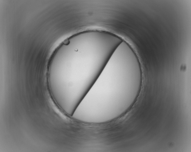 X0000113100902200908280949