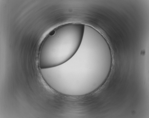 X0000113100904200908280949