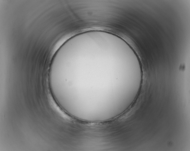 X0000113100906200908280949