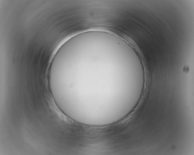 X0000113100908200908280949