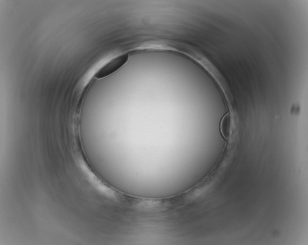 X0000113100909200908280949