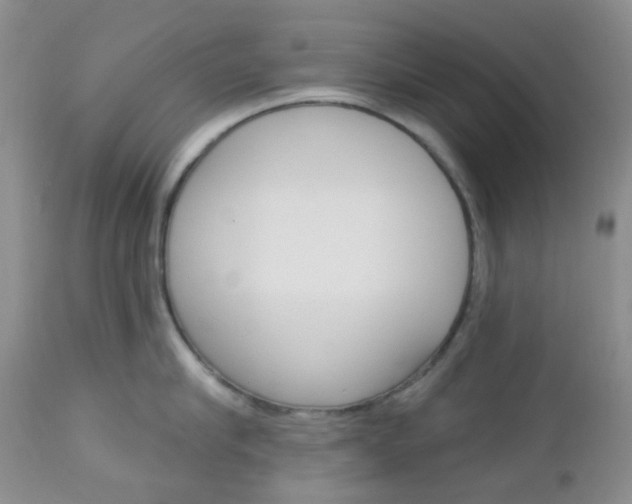 X0000113100910200908280949