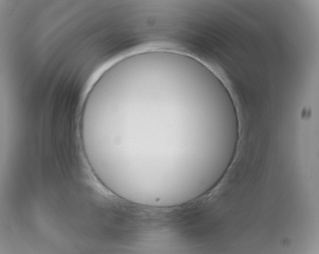 X0000113100912200908280949