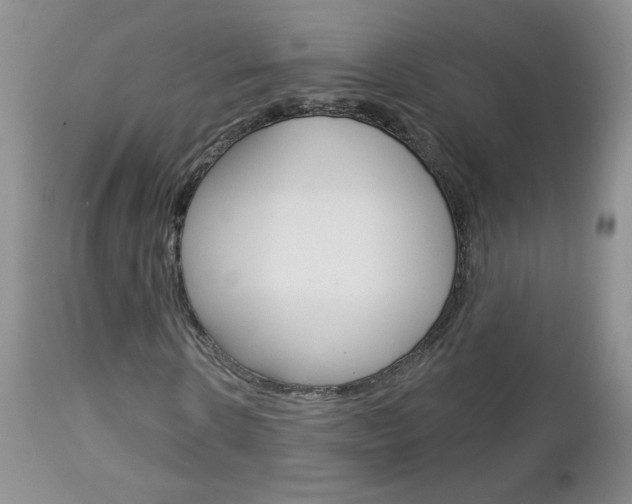 X0000113100914200908280948