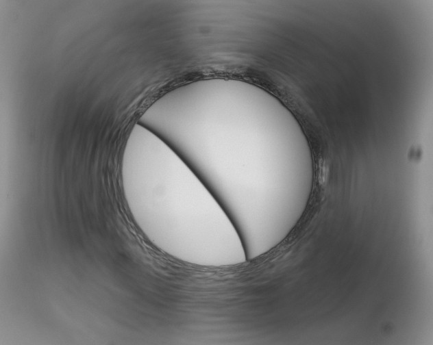 X0000113100915200908280948