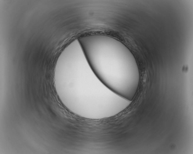 X0000113100916200908280948