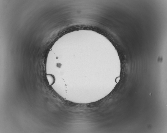 X0000113100918200908280948
