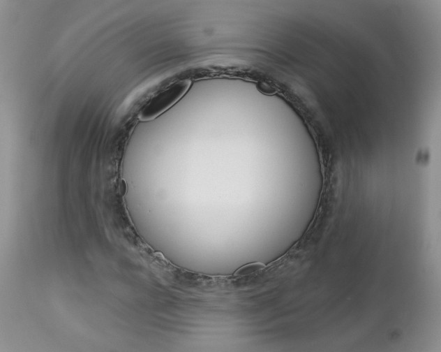 X0000113100920200908280948