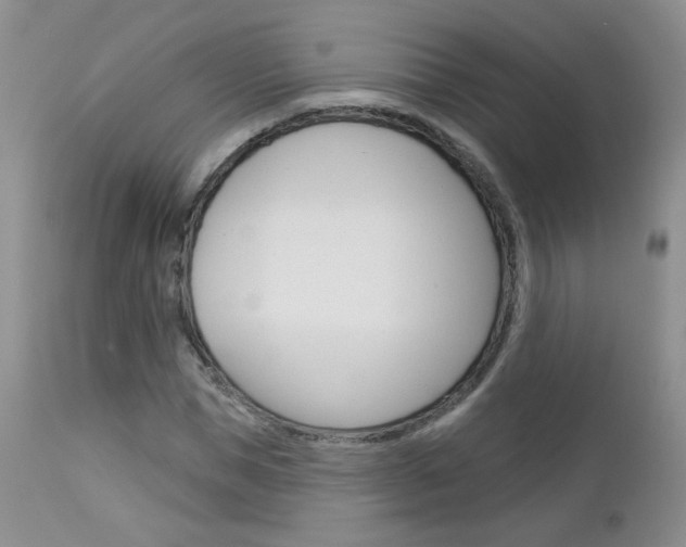 X0000113100921200908280948