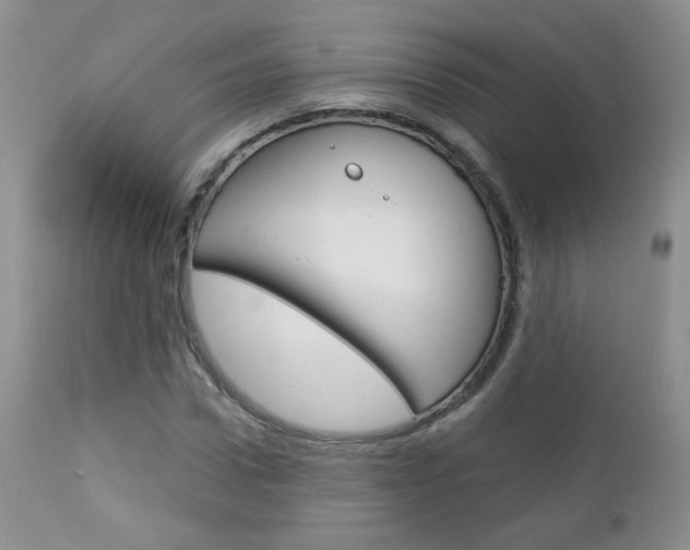 X0000113100922200908280948