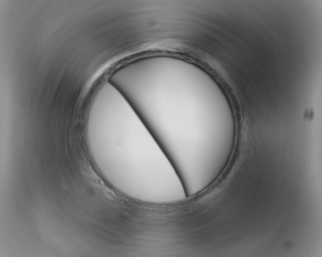 X0000113100923200908280948