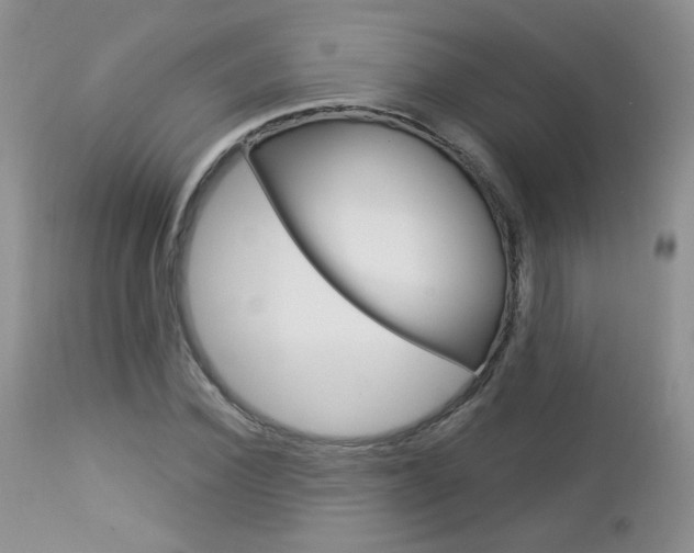 X0000113100924200908280948