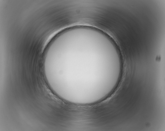 X0000113100926200908280948