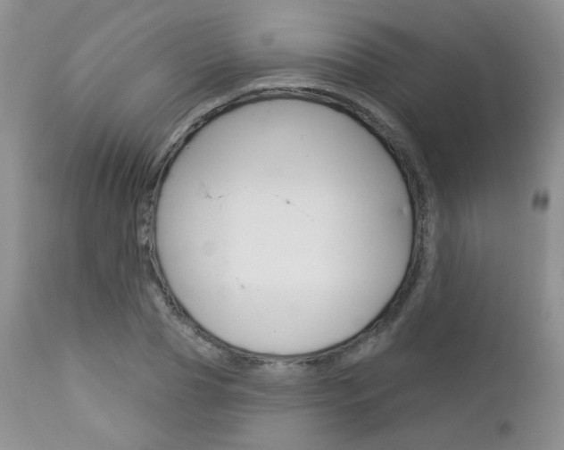 X0000113100929200908280948