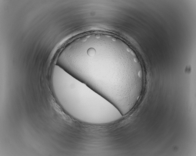 X0000113100931200908280948