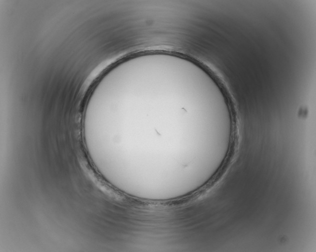 X0000113100933200908280948