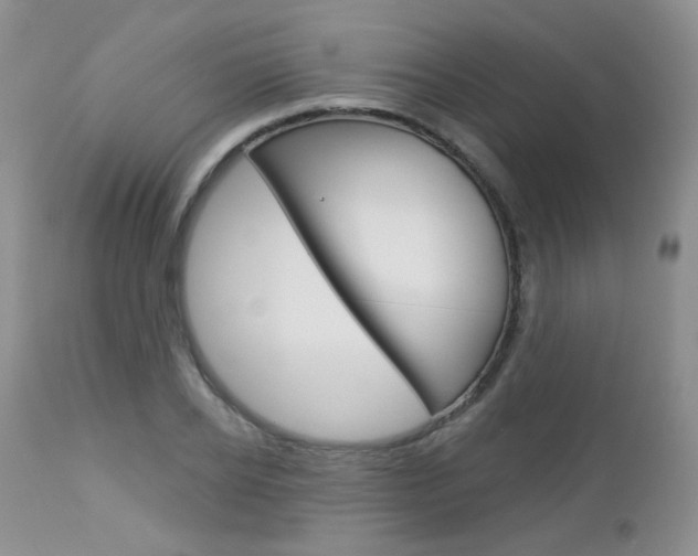 X0000113100934200908280948