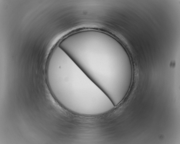 X0000113100935200908280948