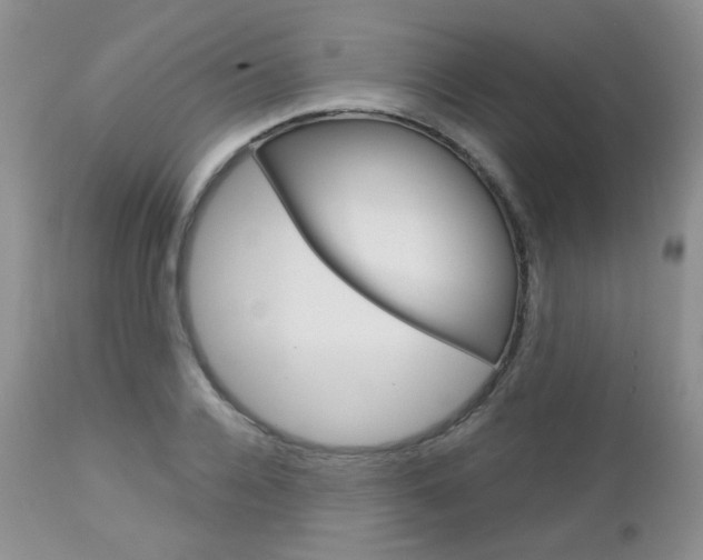 X0000113100936200908280948
