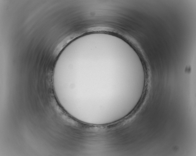 X0000113100937200908280948