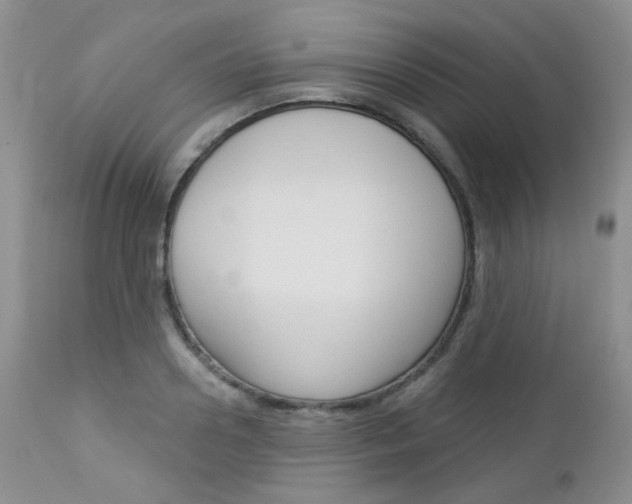 X0000113100938200908280948