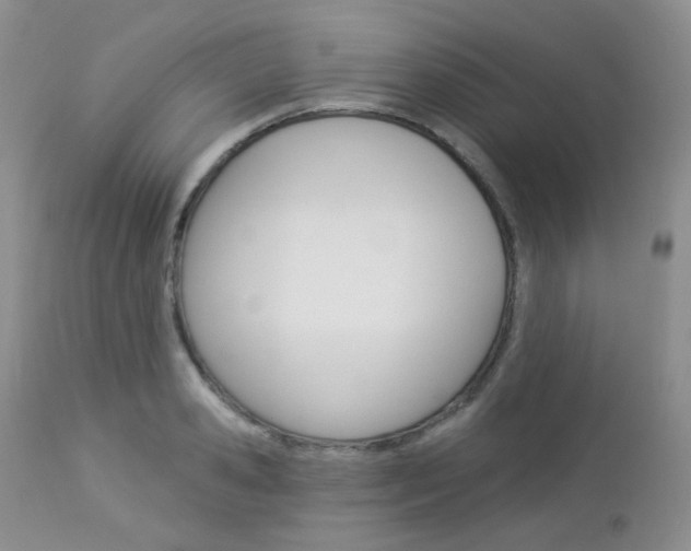 X0000113100941200908280948