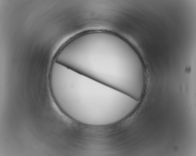 X0000113100943200908280948