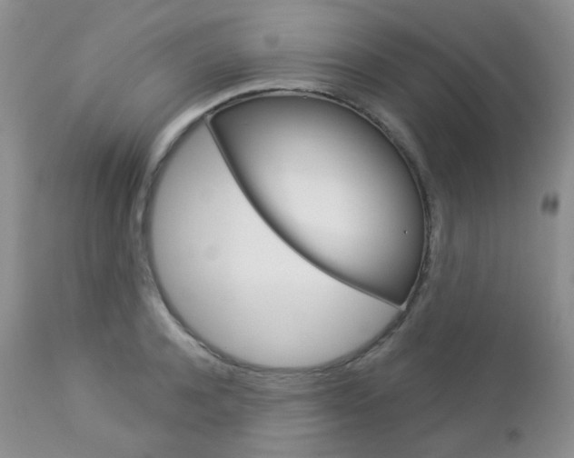 X0000113100944200908280948
