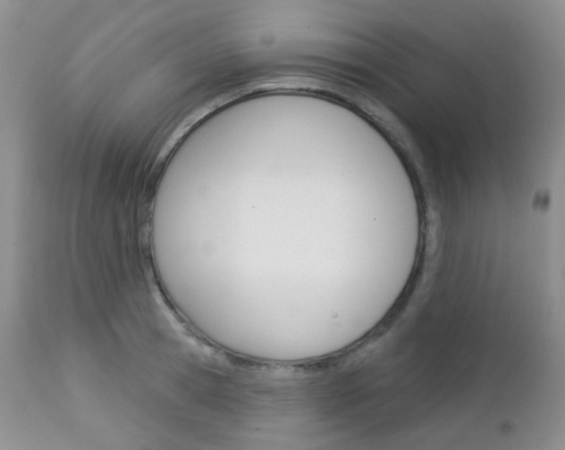 X0000113100945200908280948