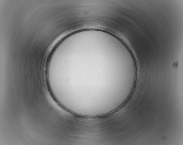 X0000113100947200908280949