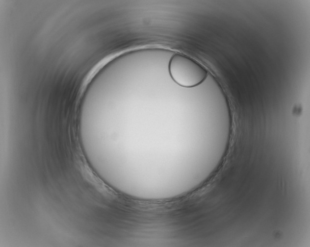 X0000113100948200908280949
