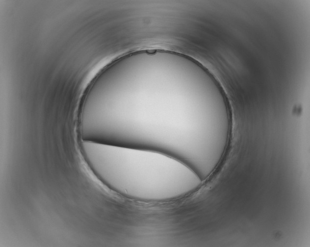 X0000113100949200908280949