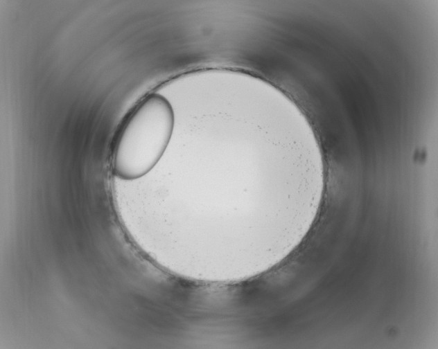 X0000113100950200908280949