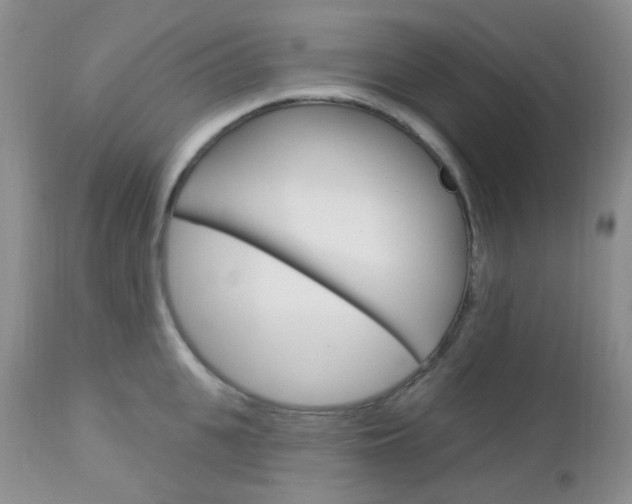 X0000113100951200908280949