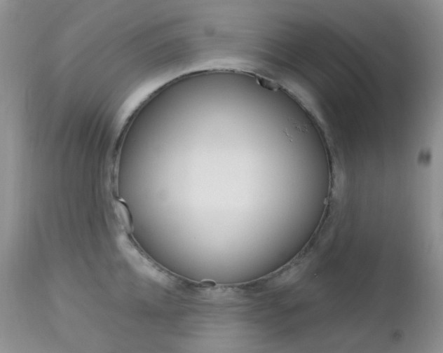 X0000113100952200908280949