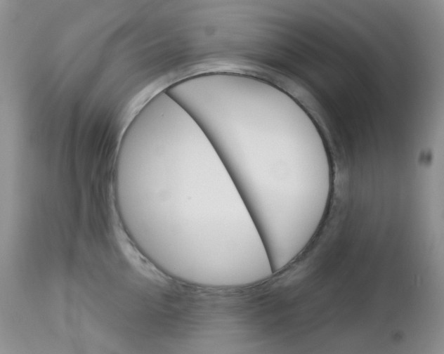 X0000113100954200908280949