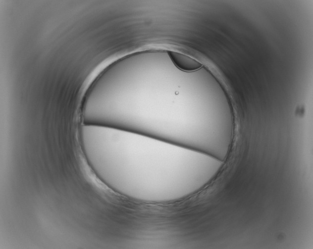 X0000113100955200908280949