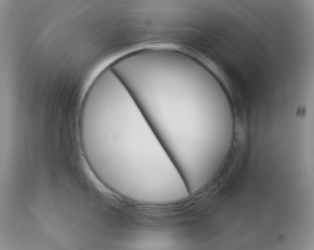 X0000113100959200908280949