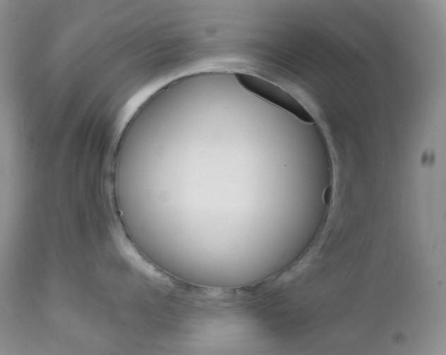 X0000113100960200908280949