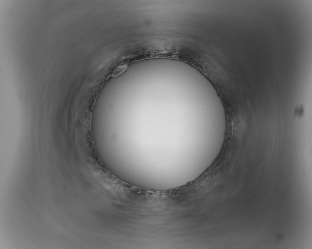 X0000113100961200908280948