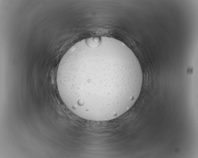 X0000113100962200908280948