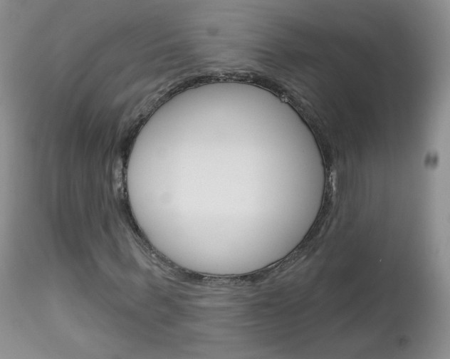 X0000113100963200908280948