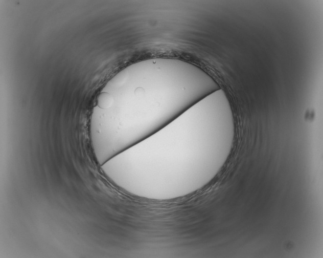 X0000113100964200908280948
