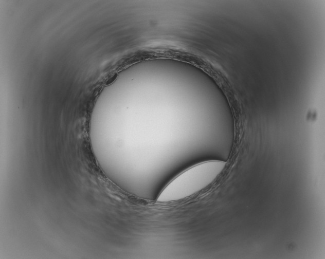 X0000113100965200908280948